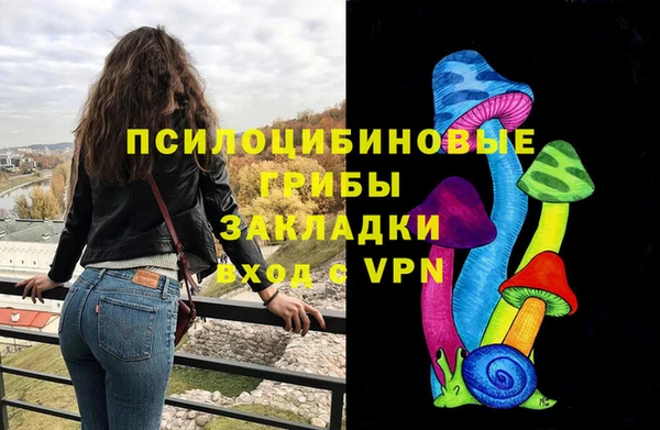 метадон Рославль