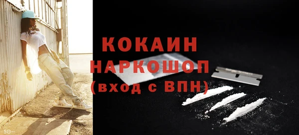 индика Алексеевка