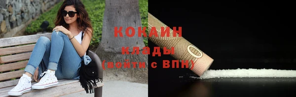 дживик Алзамай