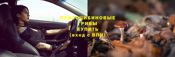 дживик Алзамай