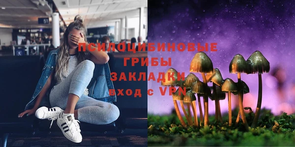 индика Алексеевка