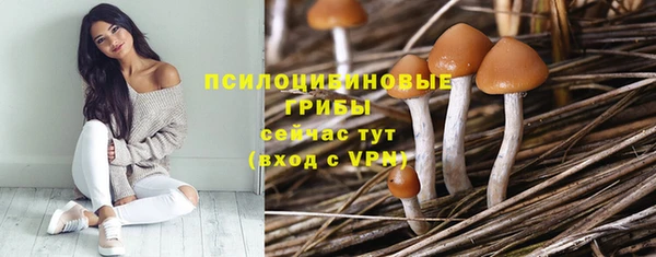 дживик Алзамай